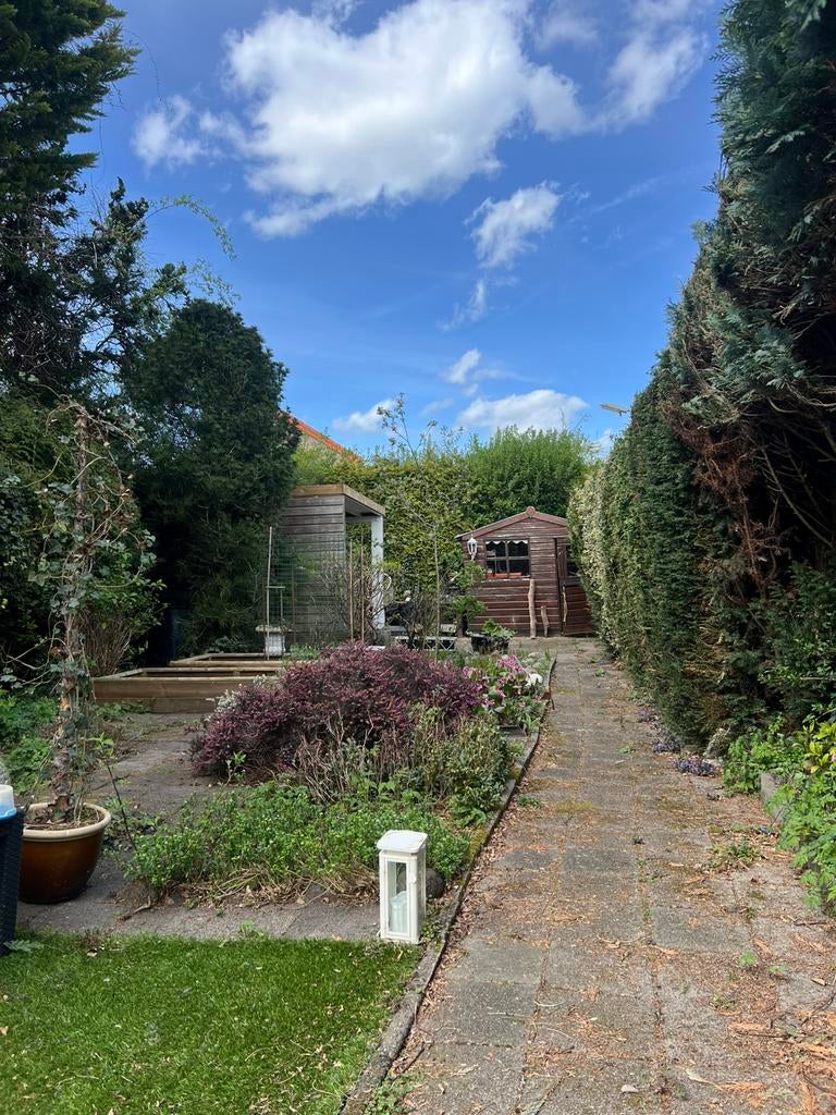 Tuinhulp gezocht, Ophalen, Nieuw
