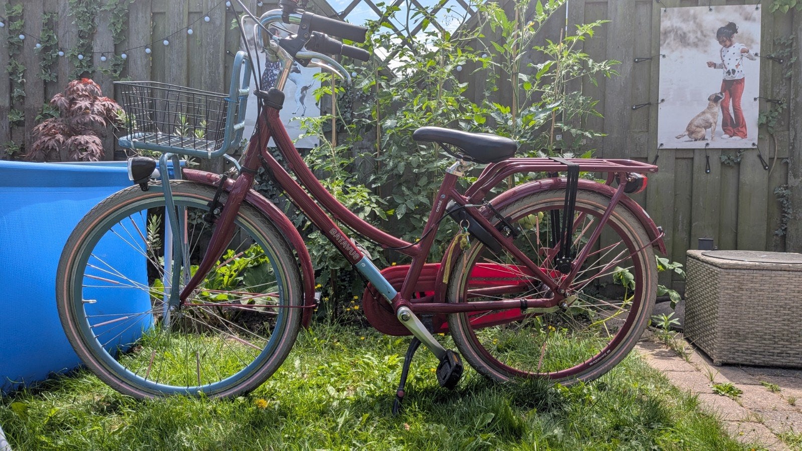 Batavus cnctd meisjesfiets 9-10 jaar 24", Ophalen, Terugtraprem, Versnellingen, Batavus