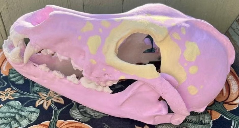 skull dog masker, Ophalen of Verzenden, Gebruikt, Overige typen