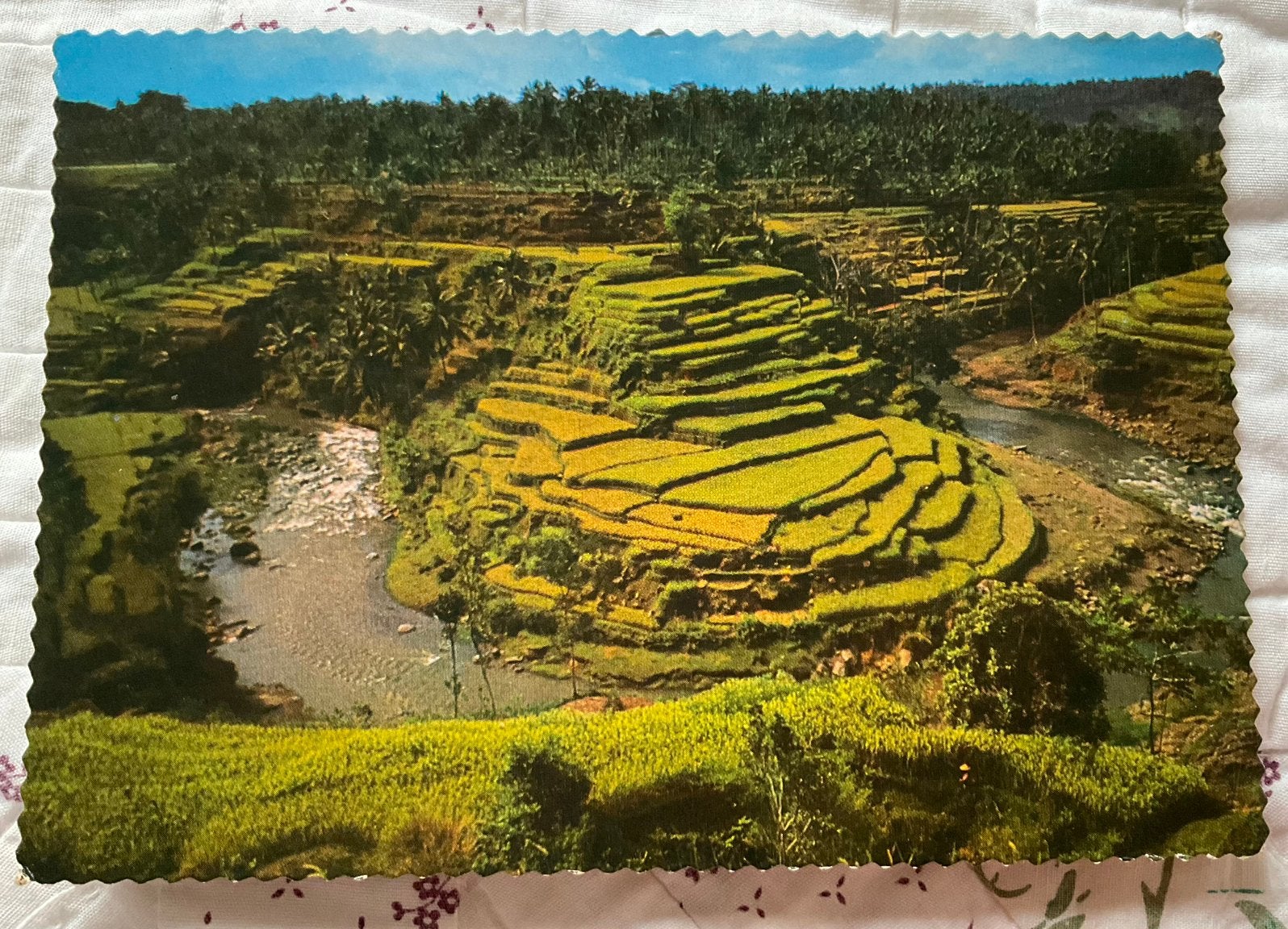 Sawa’s op Bali, Indonesië, Ophalen of Verzenden, 1960 tot 1980, Buiten Europa