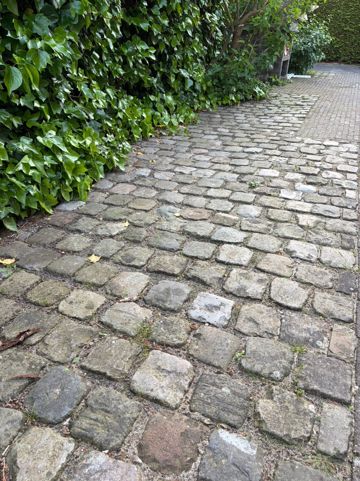 Zsm ophalen! Belgische kinderkoppen / kasseien -ruim 40 m², Ophalen, Gebruikt, Natuursteen, 10 m² of meer