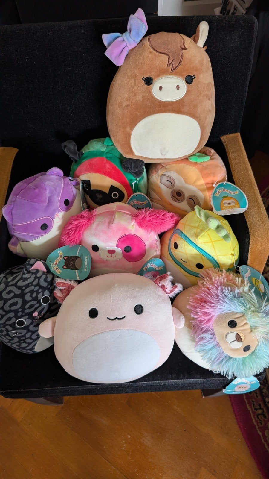 Grote collectie Squishmallows knuffels - Diverse dieren, Overige typen, Ophalen of Verzenden, Middelgroot (20 tot 80 cm), Squishmallow