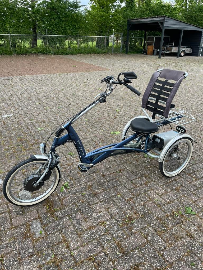 Vanraam Easy Rider electrische driewieler, Fietsen en Brommers, Fietsen | Driewielfietsen, Gebruikt, Schijfrem, Ophalen