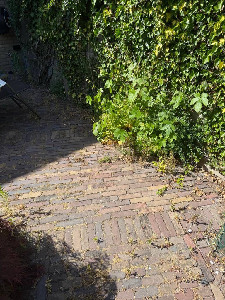 Gratis klinkers, zelf eruit te halen (ca. 30 m2), Tuin en Terras, Tegels en Klinkers, Ophalen, Overige materialen, Gebruikt, Klinkers