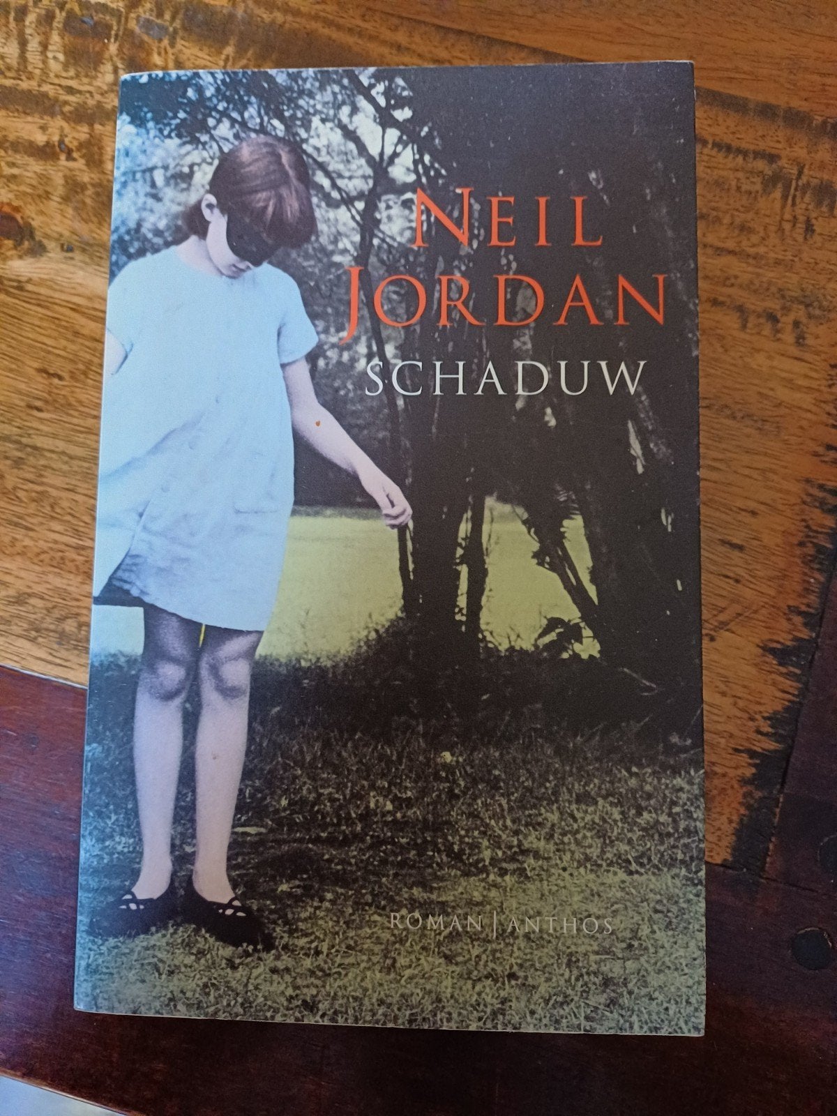 Neil Jordan - Schaduw (Roman Anthos), Ophalen of Verzenden, Gelezen, Neil Jordan, Europa overig