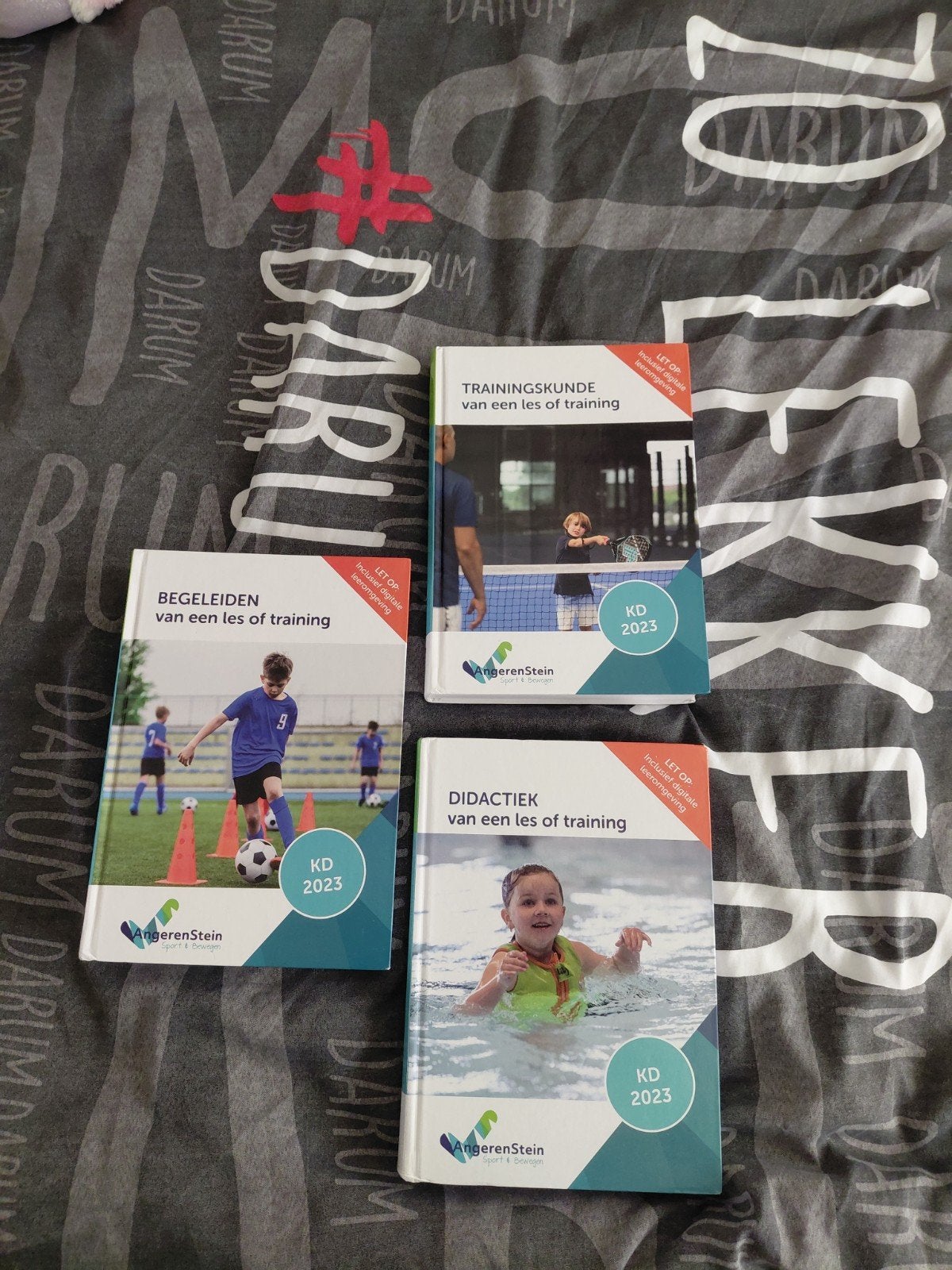 Schoolboeken CIOS, Ophalen of Verzenden, Zo goed als nieuw, MBO, AngerenStein