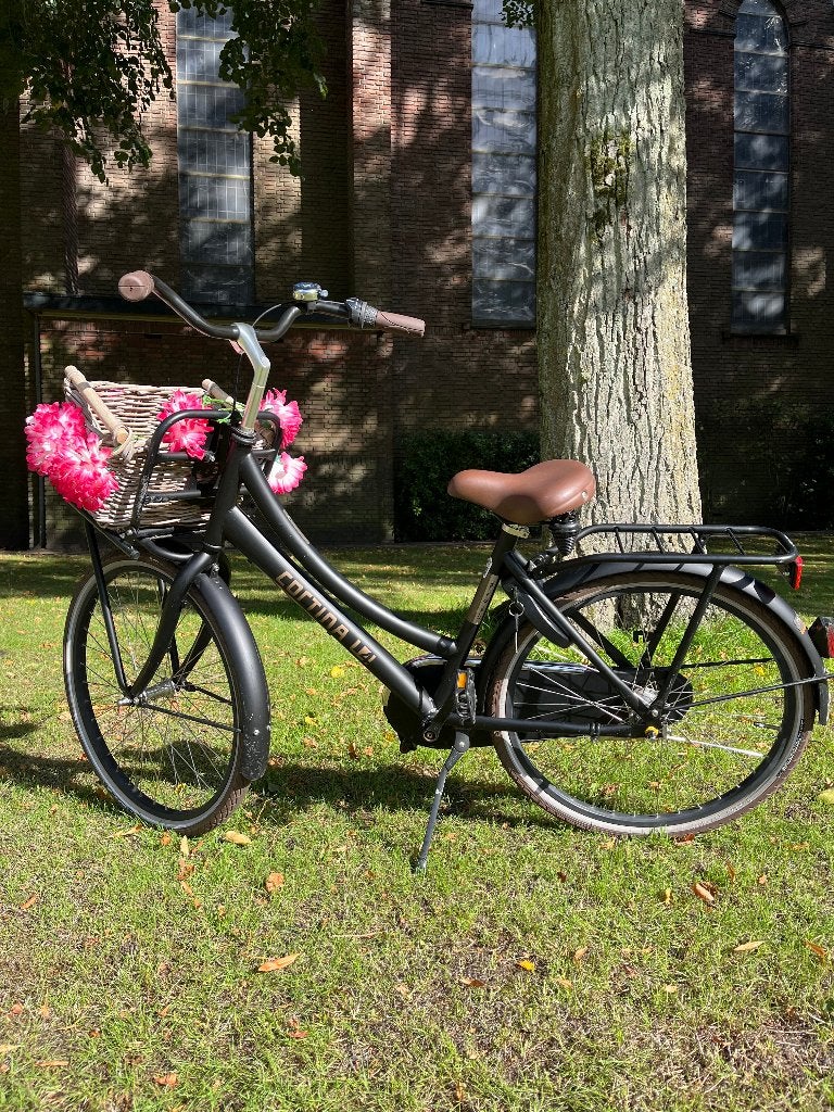 Cortina U4, wielmaat 24 inch, mooie tussenfiets, Fietsen en Brommers, Terugtraprem, Gebruikt, Versnellingen, Minder dan 47 cm