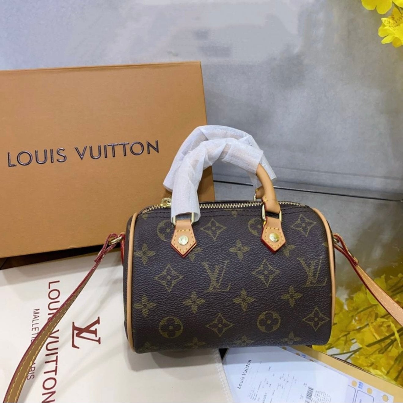 Louis Vuitton Speedy Nano Handtas, Ophalen of Verzenden, Zo goed als nieuw, Bruin, Handtas