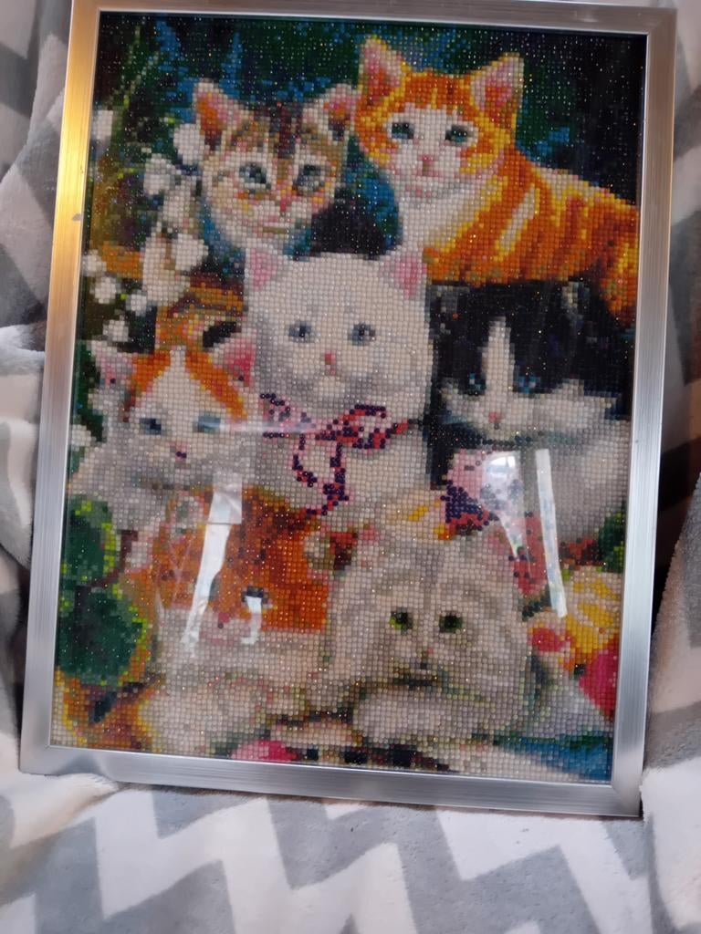 Diamond painting schilderij poesjes, Ophalen of Verzenden, Nieuw, Knutselwerk
