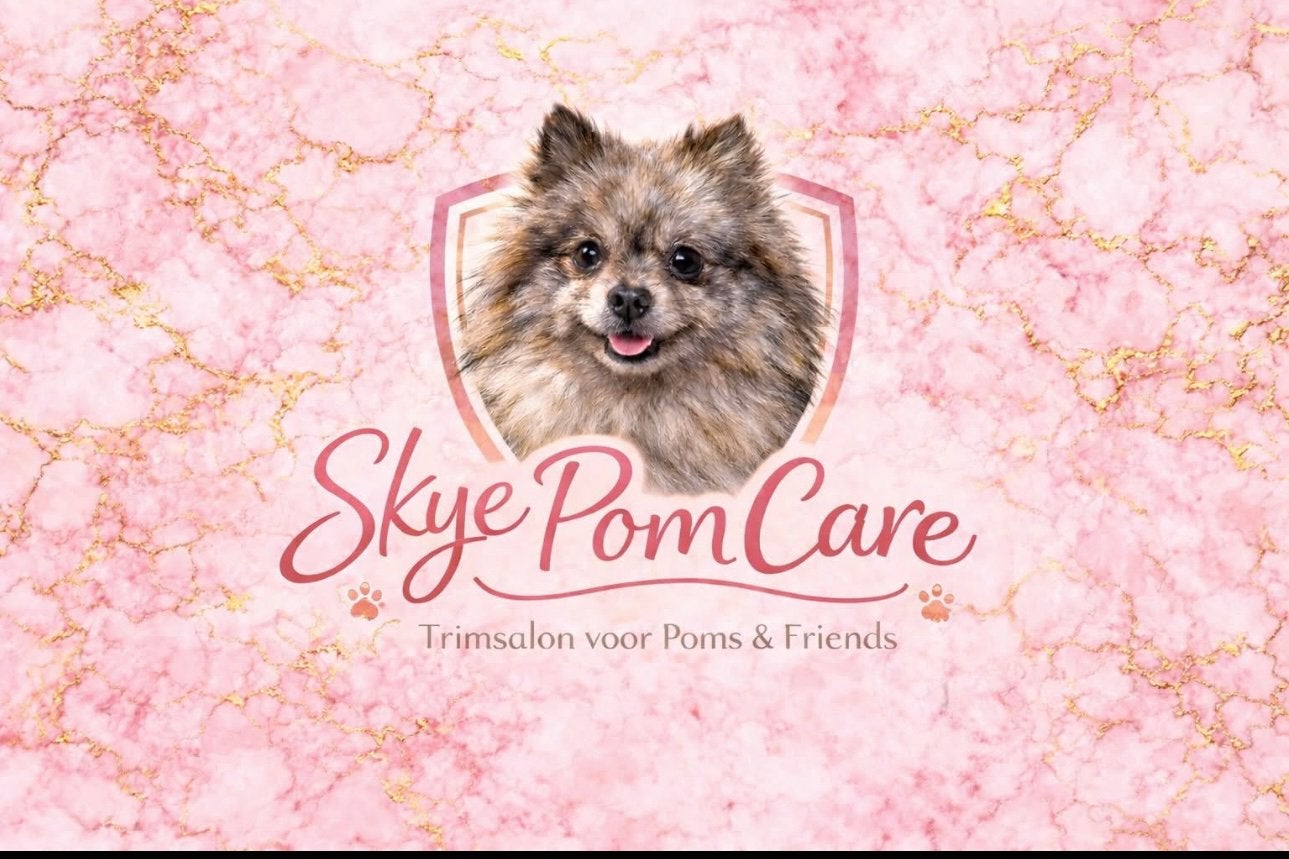 Hondentrimsalon voor pomeranian en kleine hondjes tm 40cm, Dieren en Toebehoren, Ophalen, Zo goed als nieuw