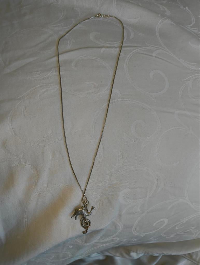Zilverkleurige ketting met kameel hanger, Ophalen, Gebruikt, Zilver, Overige materialen