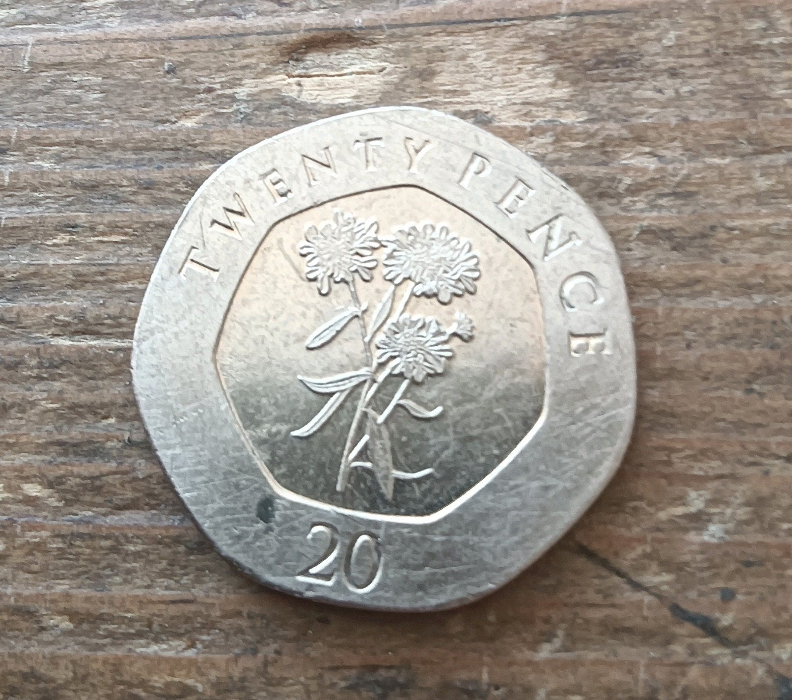 Gibraltar 20 pence 2016 kenmerk A10, Postzegels en Munten, Ophalen of Verzenden, Overige landen, Losse munt