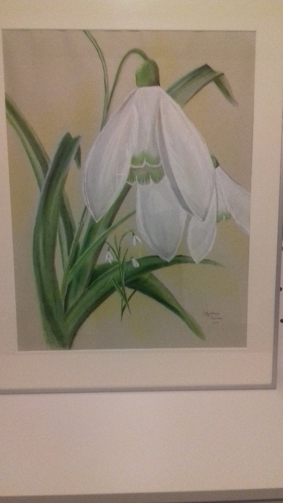 Schilderij (pastel) bloemen, Ophalen, Pastel, Passe-partout, Papier/karton