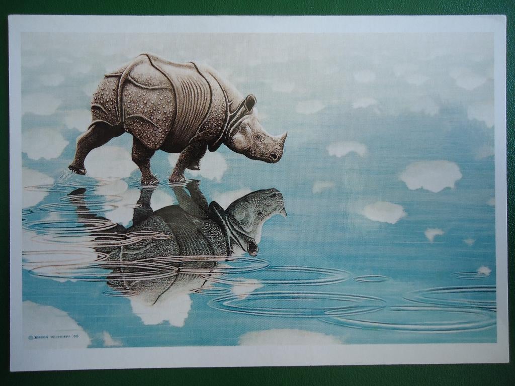 (1167) Dierenkaart: NEUSHOORN, Verzenden, 1980 tot heden, Ongelopen, Overige soorten