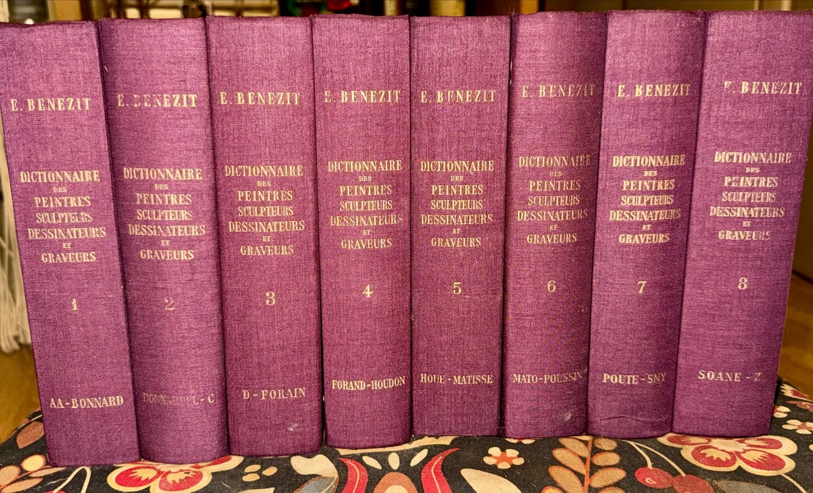 E. Benezit - Dictionnaire des Peintres, Sculpteurs, Dessinat, Ophalen of Verzenden, Zo goed als nieuw, Overige onderwerpen