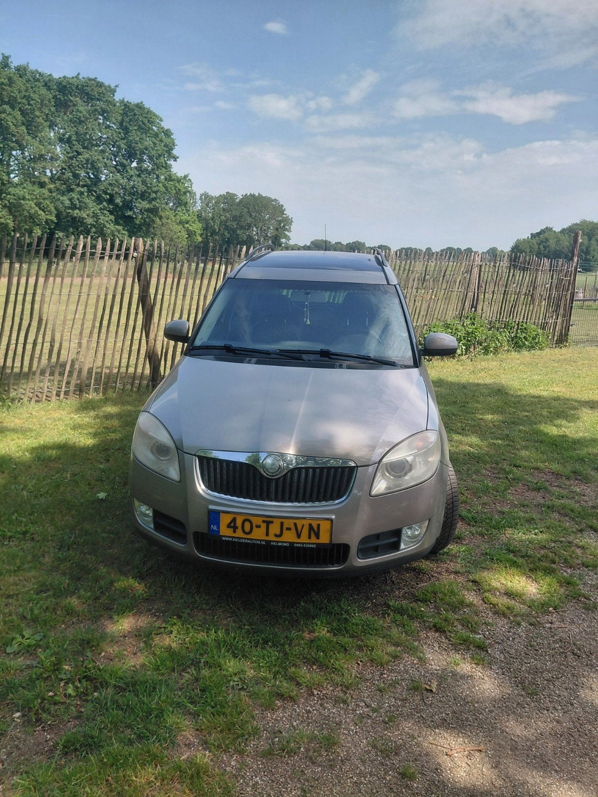 Skoda Roomster 1.4 16V 63KW Scout 2006 Beige, Voorwielaandrijving, 450 kg, 4 cilinders, Roomster