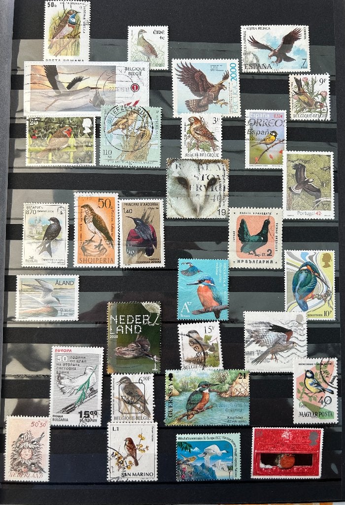 Vogels Europa, Verzenden, Dier of Natuur