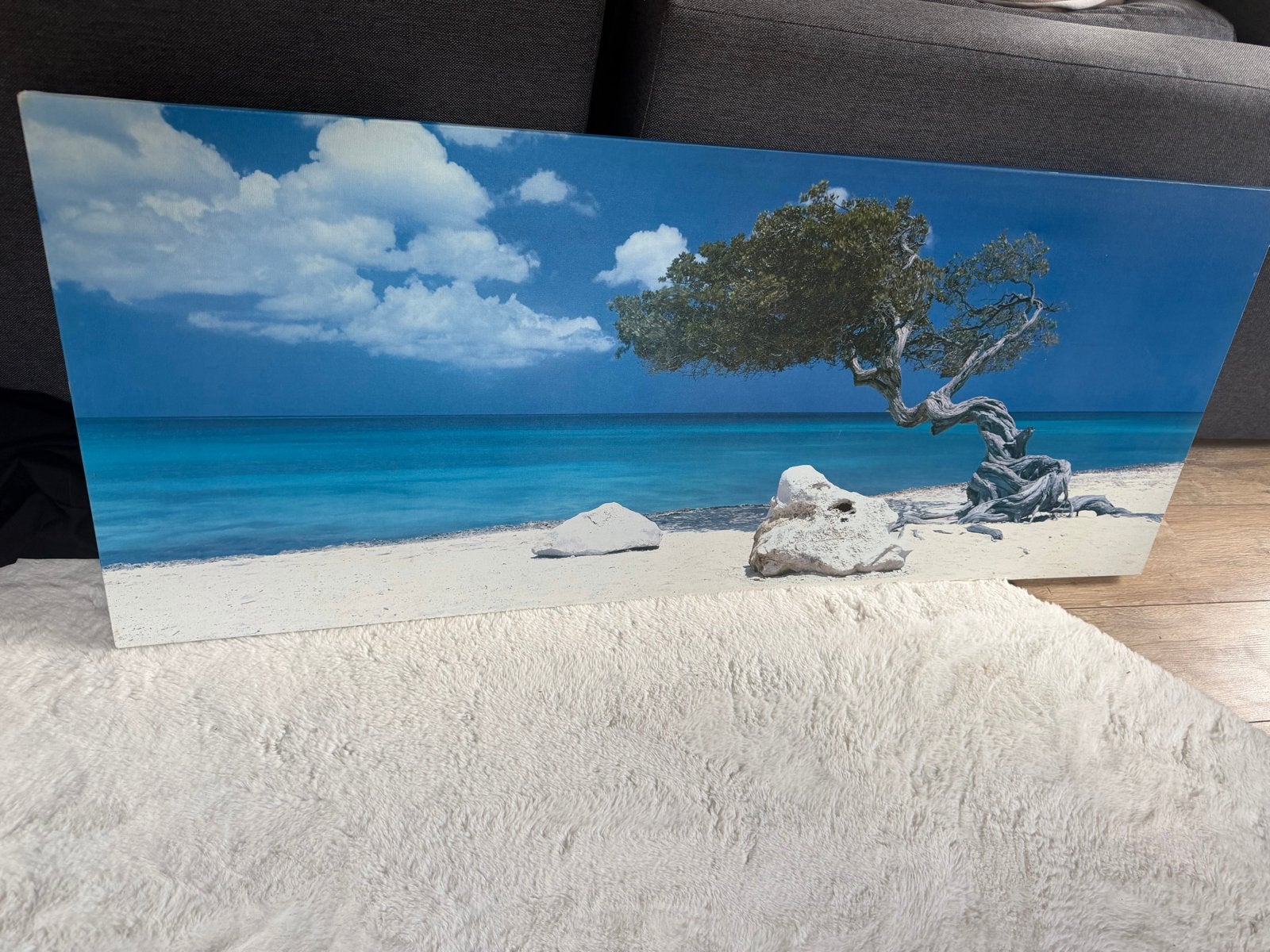 Prachtig schilderij van Aruba strand met dividivi boom, Antiek en Kunst, Maritiem / water, Doek, Realistisch, Ophalen of Verzenden