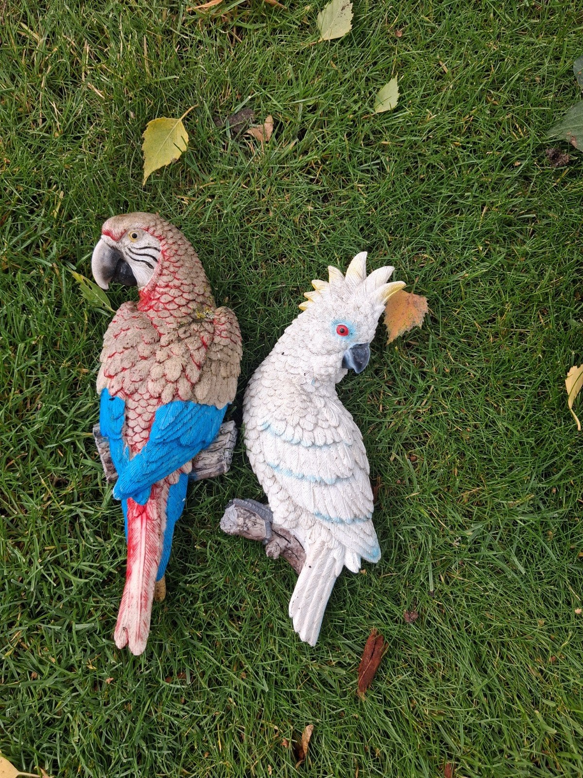 Papegaai en Kaketoe Beelden - Tuin/Decoratie, Ophalen, Gebruikt