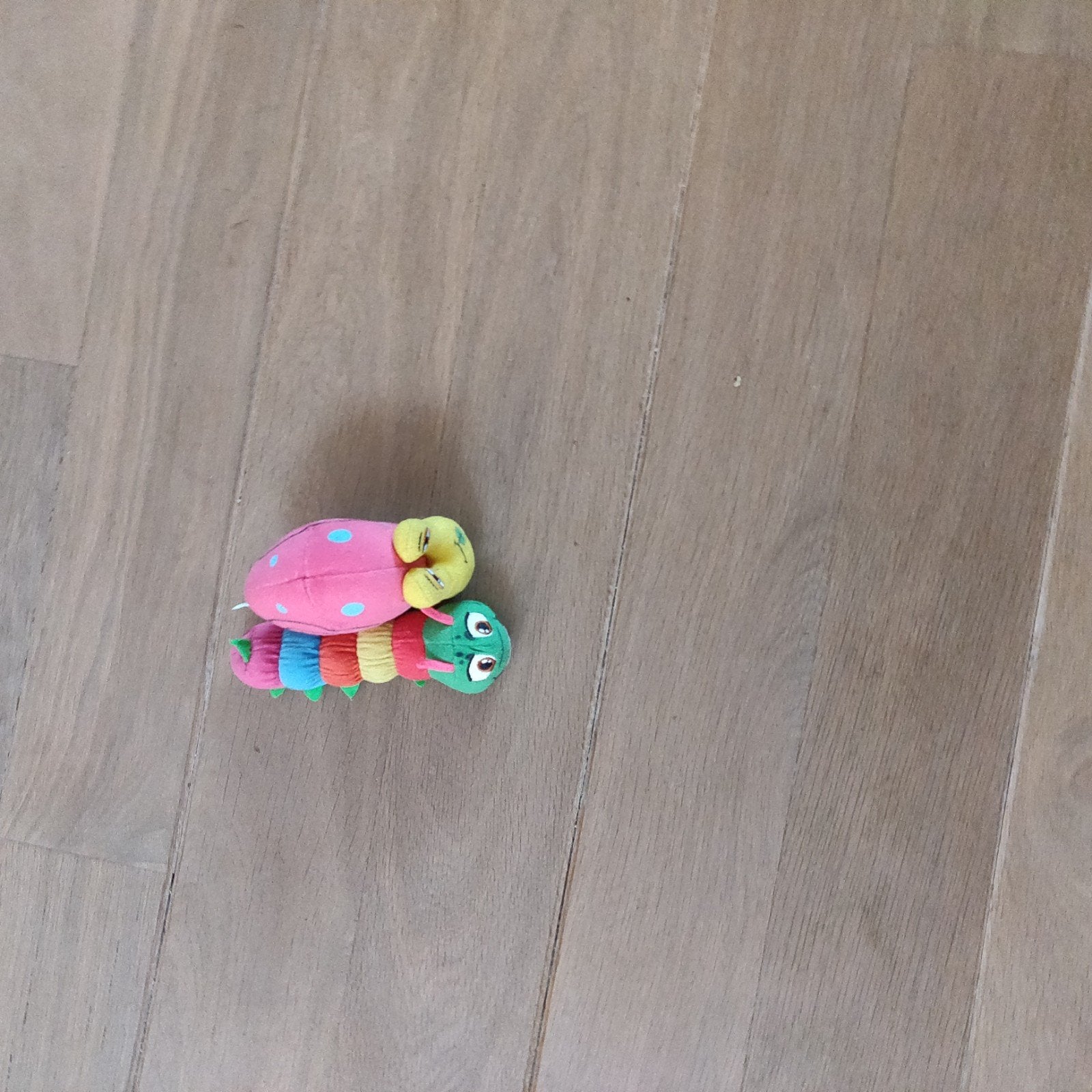 lidl achtertuinmini's rups en slak, Lidl, Overige karakters, Overige typen, Ophalen of Verzenden
