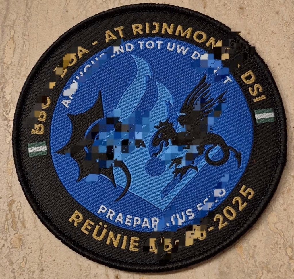Gezocht & te ruil DSI - embleem pin coin schildje t-shirt, Ophalen of Verzenden, Overige soorten, Nederland, Embleem of Badge