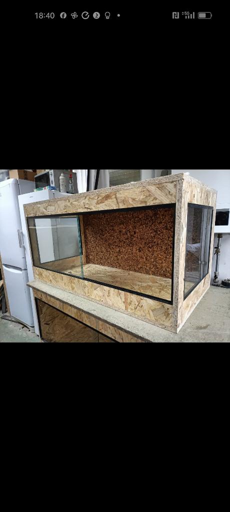 nieuw osb3 terrarium 100x50x50 met zij ramen en achterwand, Ophalen of Verzenden, Nieuw