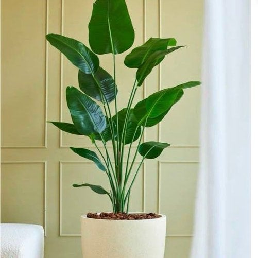 Kunstplant Strelitzia 180 cm real touch - Zo goed als nieuw, Ophalen, Overige soorten, Halfschaduw, In pot
