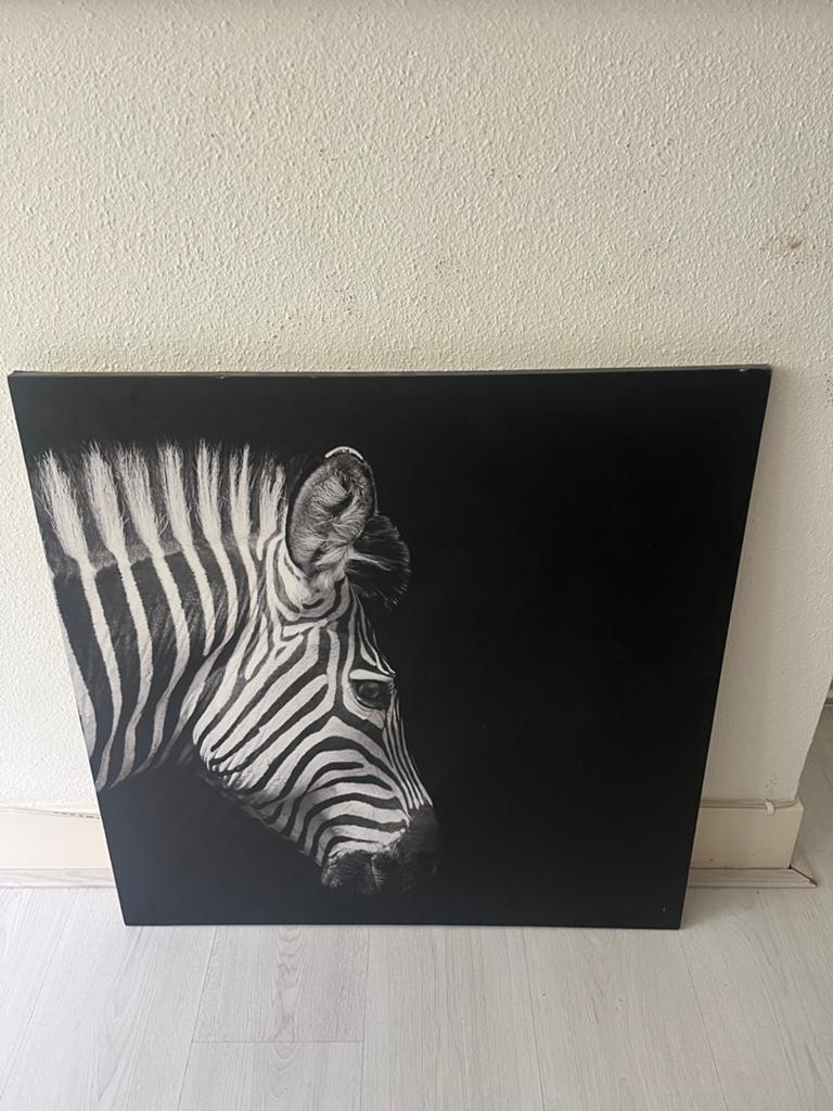 Zwart-wit zebra schilderij - Canvas kunst, Ophalen, Zo goed als nieuw