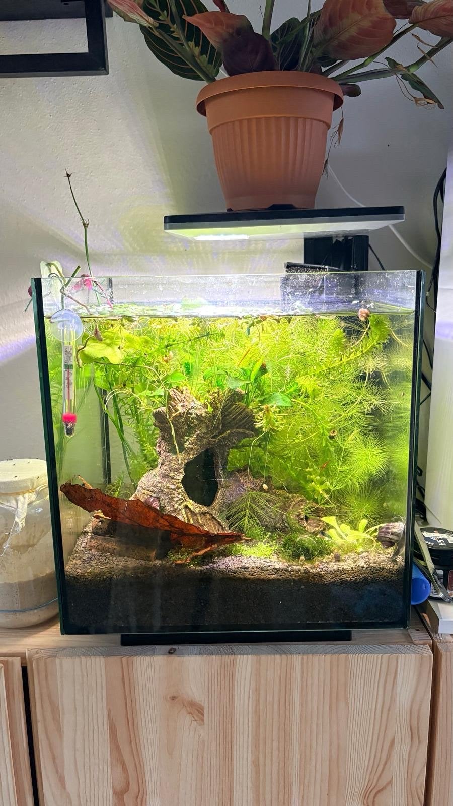 Strak Nano Cube Aquarium (met LED-verlichting & Zandbodem), Ophalen, Zo goed als nieuw, Leeg aquarium