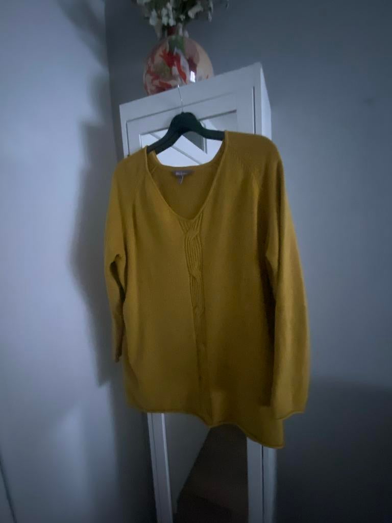 Mooie trui maat 50, Ophalen of Verzenden, Zo goed als nieuw, Maat 46/48 (XL) of groter, Geel
