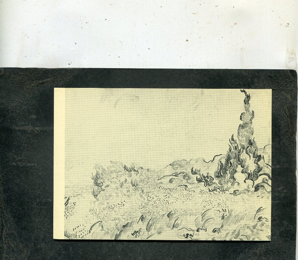Ansicht Vincent van Gogh - Korenveld met cypres en bloeiende, Verzenden, 1980 tot heden, Ongelopen