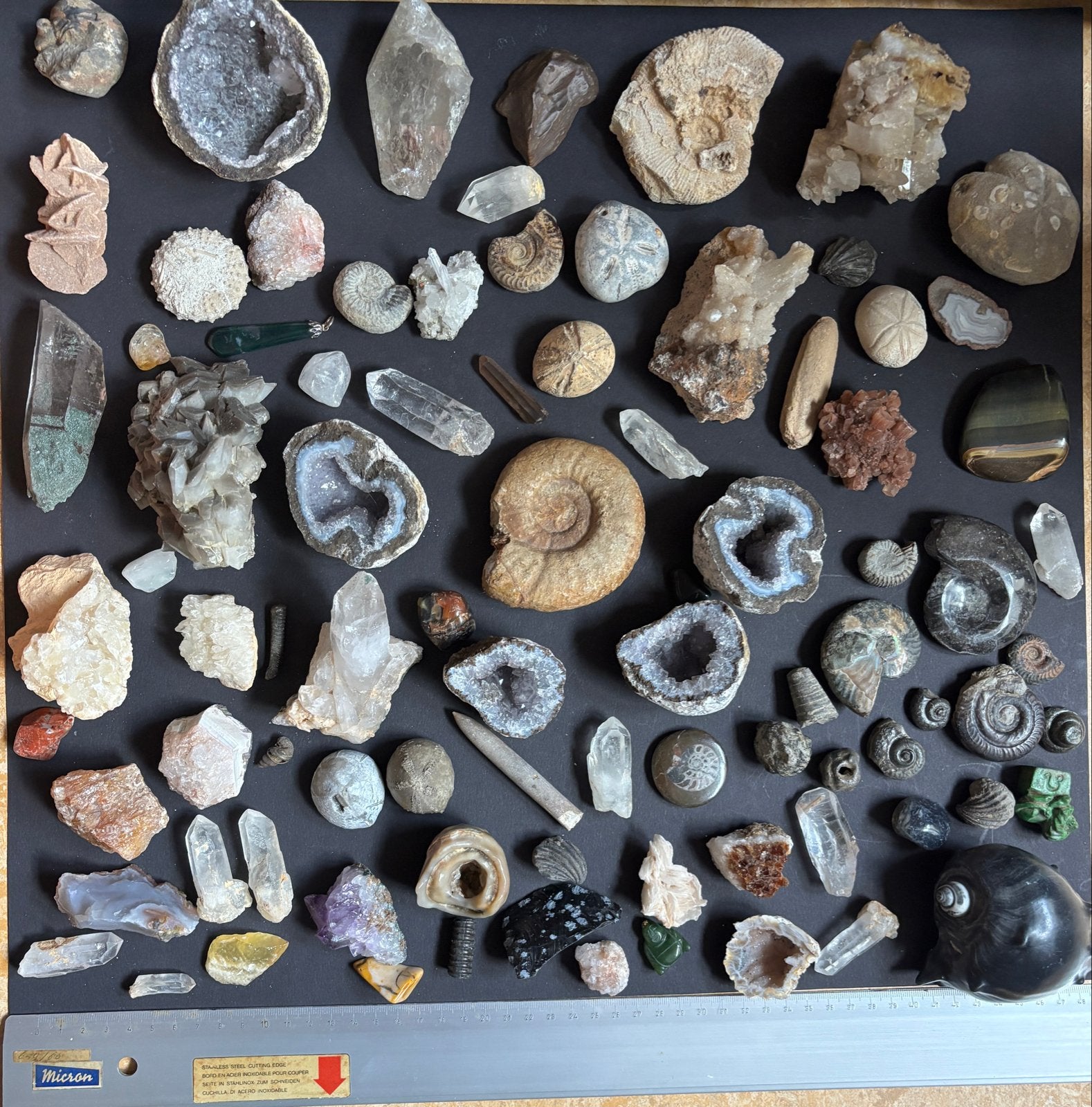 Grote collectie fossielen, mineralen, Verzamelen, Mineralen en Fossielen, Ophalen of Verzenden, Overige typen