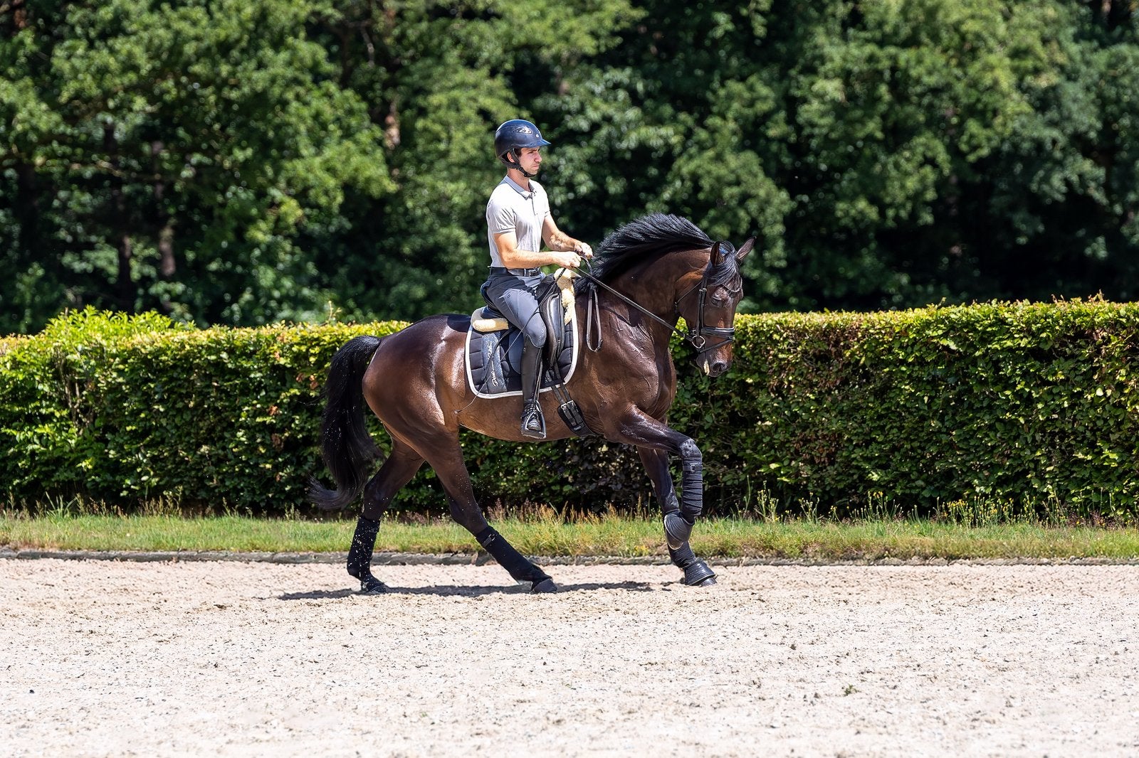 Plek voor trainings paarden en zadelmak maken, Dieren en Toebehoren, Stalling en Weidegang, Stalling, 4 paarden of pony's of meer