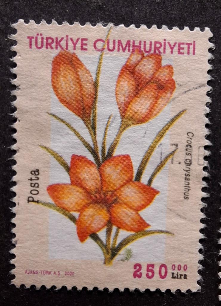 Turkije bloemen, Ophalen of Verzenden, Dier of Natuur