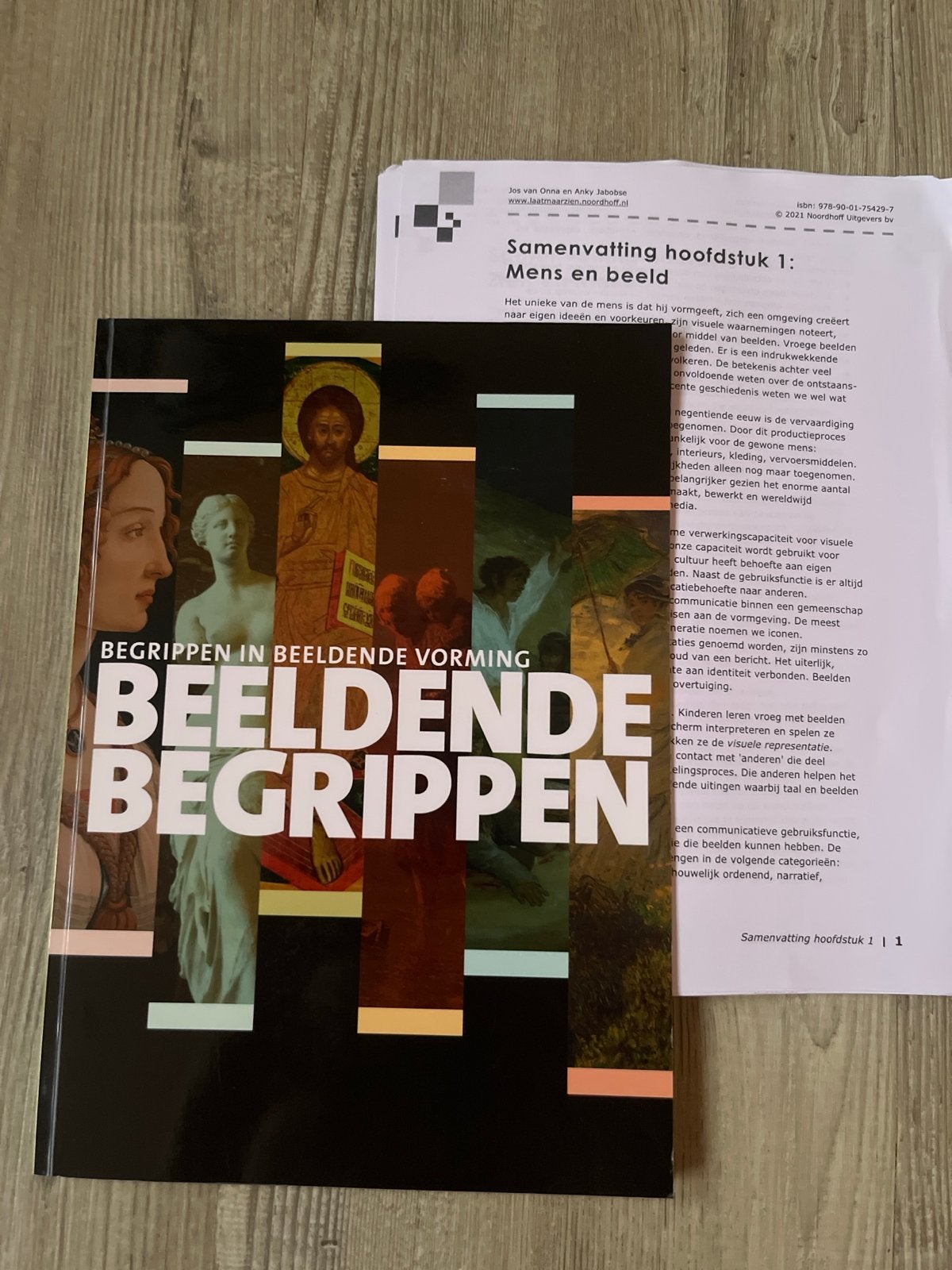 Beeldende Begrippen - Begrippen in Beeldende Vorming, Boeken, Ophalen of Verzenden, Zo goed als nieuw, Overige niveaus, Tekenen