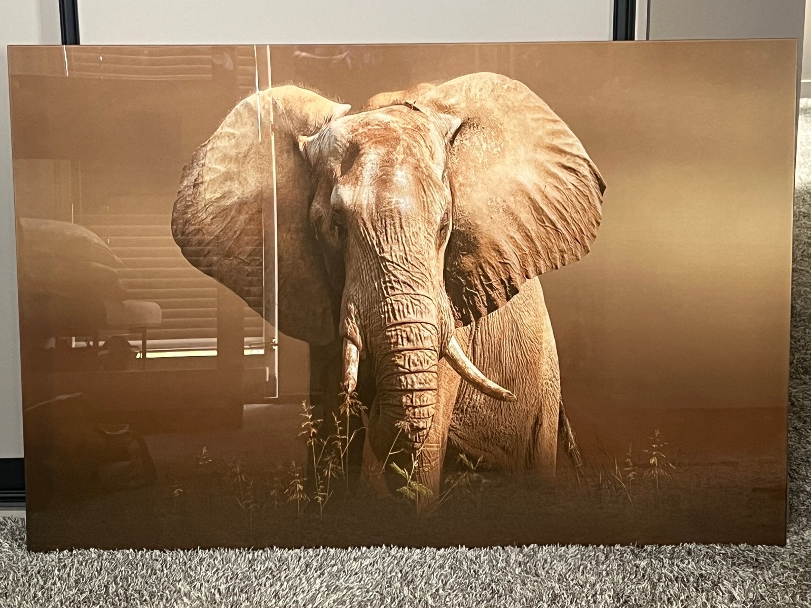 Glasschilderij olifant, Ophalen, Zo goed als nieuw, Schilderij