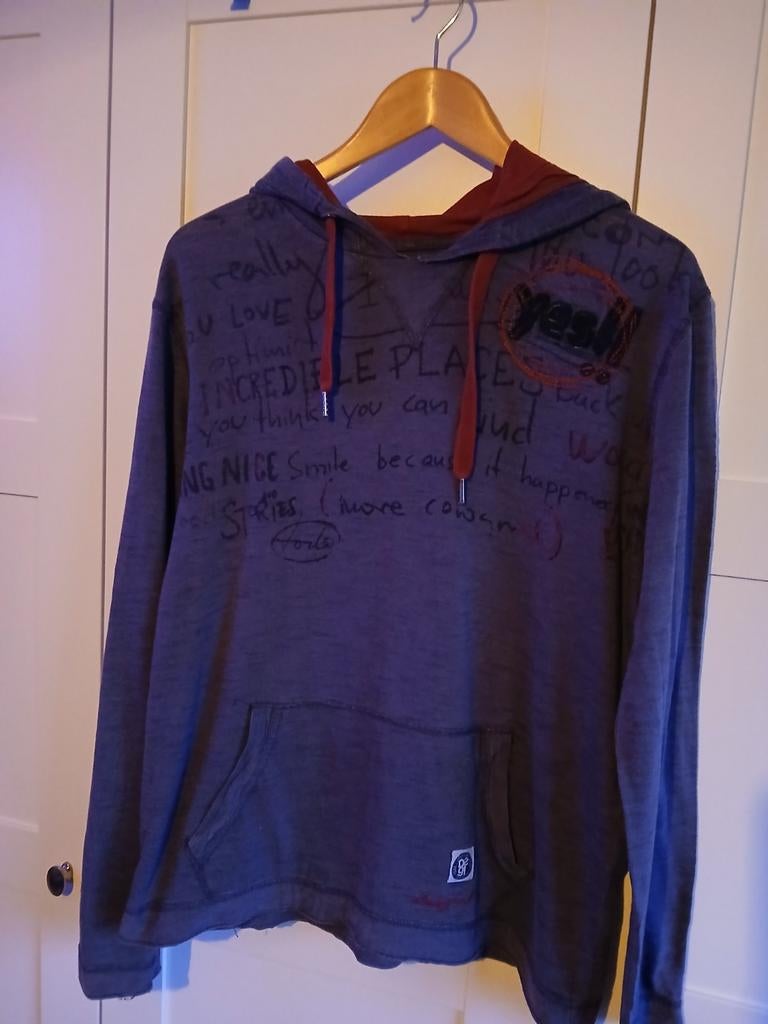Desigual longsleeve met capuchon maat L, Maat 52/54 (L), Desigual, Ophalen of Verzenden, Grijs