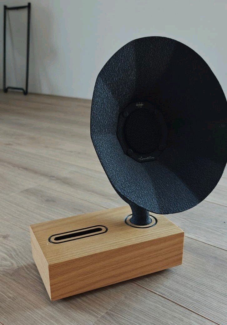 Acoustibox Unieke Grammofoon Stijl Speaker - Hout, Ophalen, Zo goed als nieuw, Overige merken