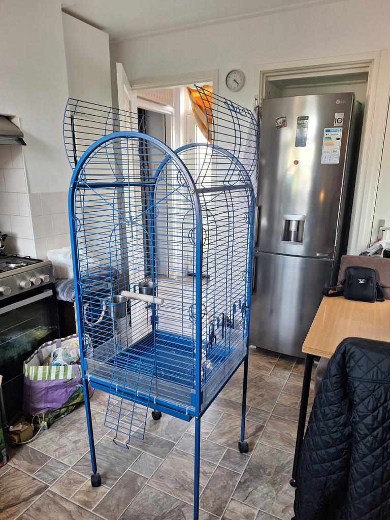 Papegaai/parkieten kooi 5858160cm, Ophalen, Zo goed als nieuw, Metaal, Overige typen