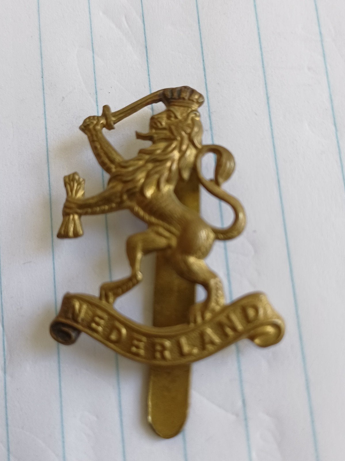 Militair embleem: Nederlandse Leeuw met zwaard en pijlen, Ophalen of Verzenden, Landmacht, Nederland, Embleem of Badge