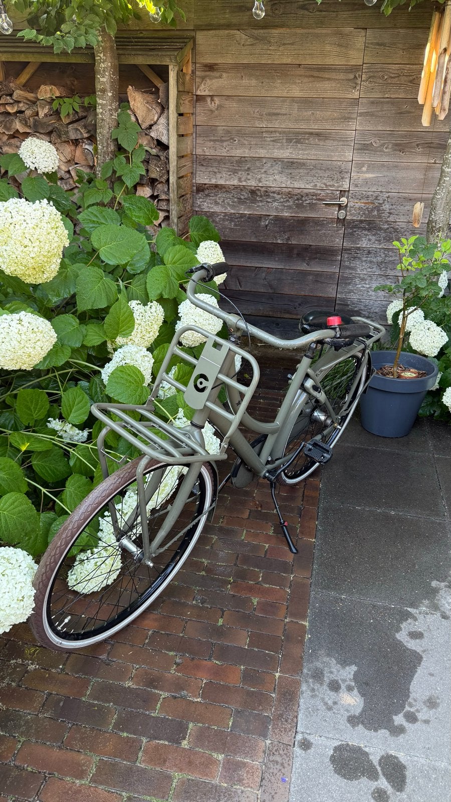 Stevige Transportfiets met Voordrager en Versnellingen, Versnellingen, Trommelrem, Ophalen, Overige merken