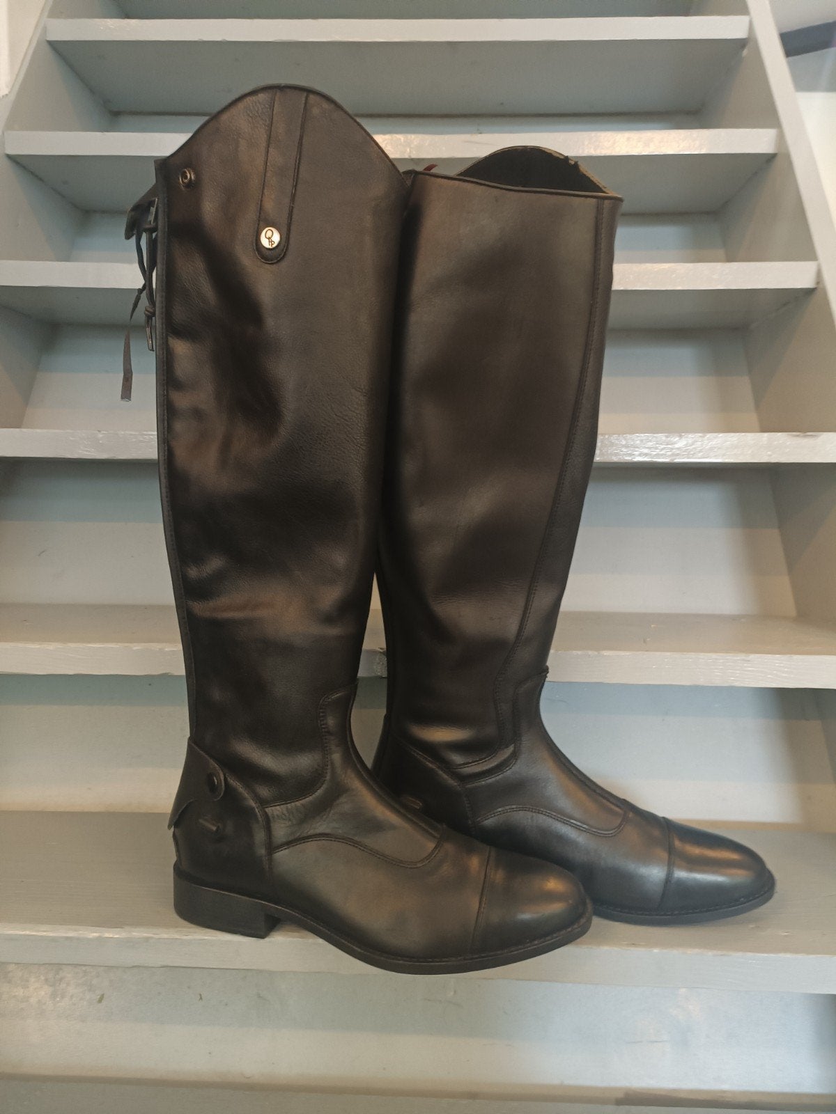 heren rijlaars maat 44N, Dieren en Toebehoren, Paardrijkleding, Ophalen, Nieuw, Zwart, Met stretch