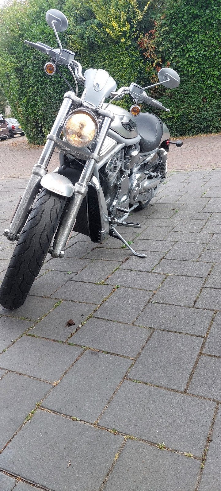 harley davidson vrsca 2003 anniversary, Motoren, Motoren | Harley-Davidson, Chopper, Gebruikt, Particulier