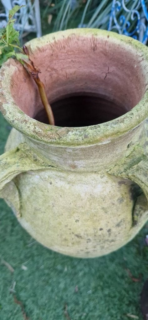 Oude, verweerde terracotta amfora vaas + 4 oren (brocante), Ophalen of Verzenden, Gebruikt