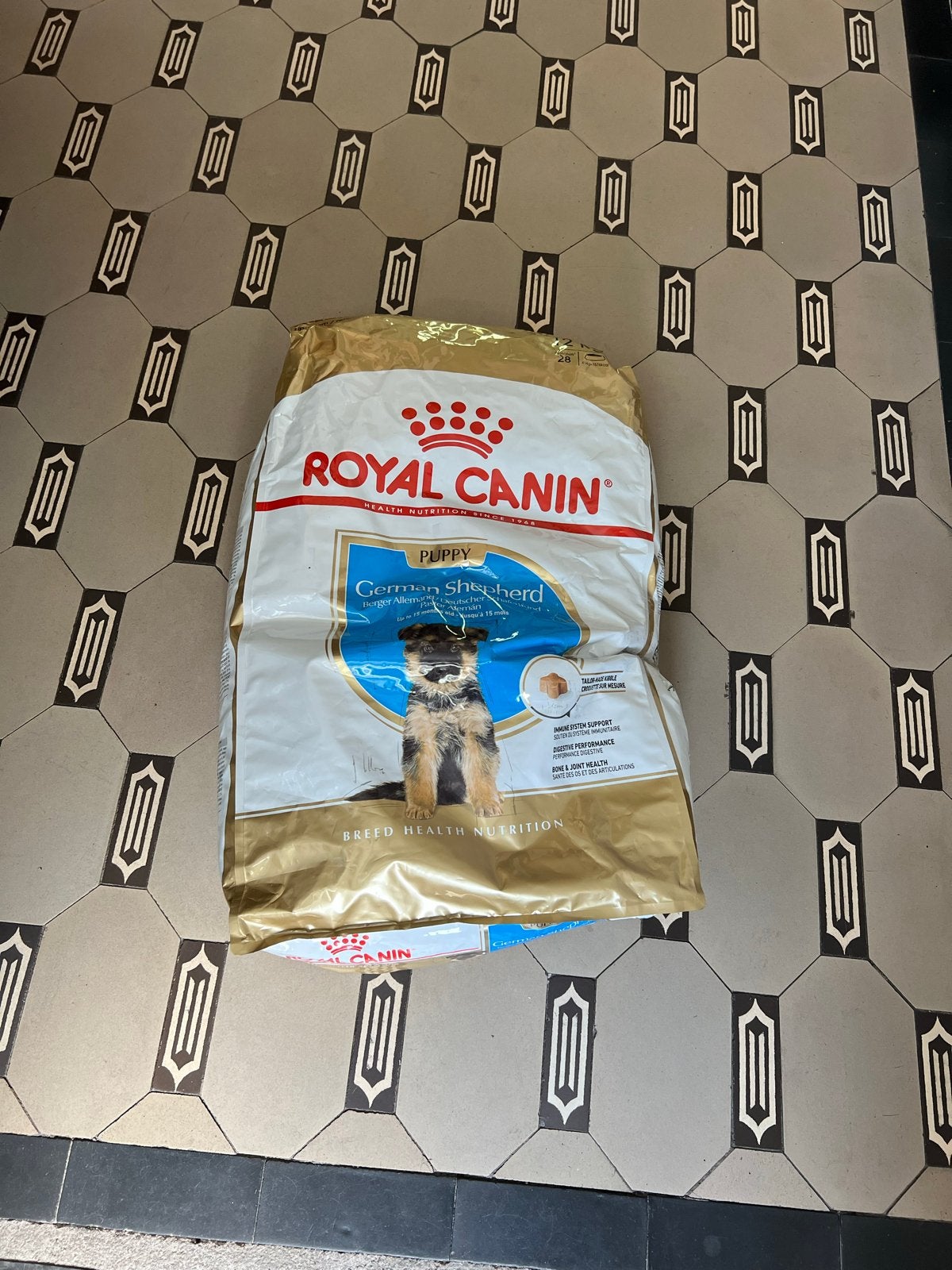 Royal Shepherd puppy hondenvoer, Ophalen, Hond