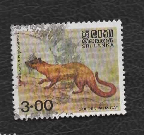Katachtigen - Sri Lanka - 3.00 - Gouden Palm-Civet (2) - geb, Ophalen of Verzenden, Gestempeld, Dier of Natuur