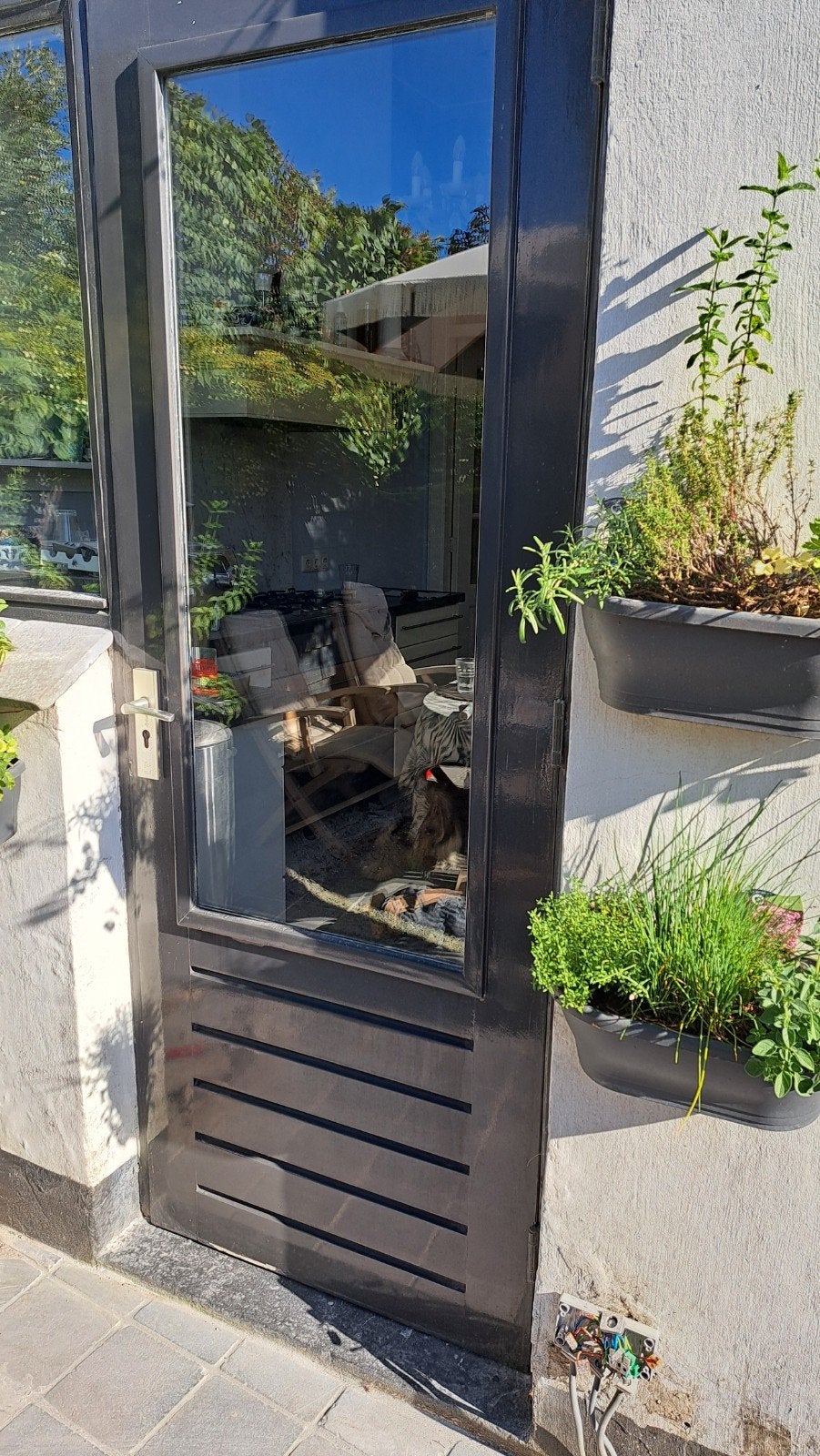 Buitendeur meranti met dubbelglas grijs 212,5 x 80, Ophalen, Hout, Buitendeur, 200 tot 215 cm