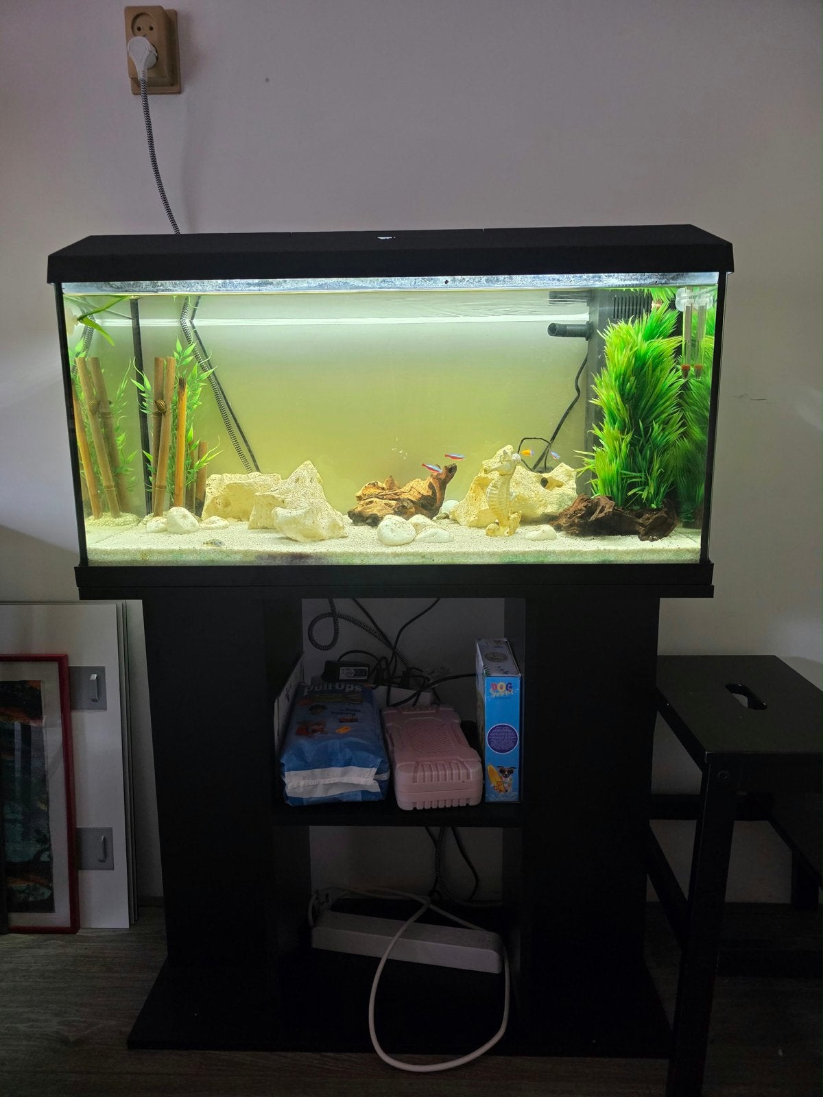 Aquarium met kast, Ophalen, Pomp, Juwel, Gevuld zoetwateraquarium