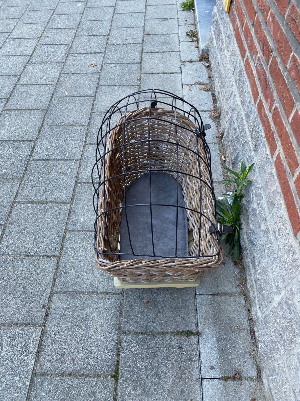 Fietsmand met rek - ideaal voor huisdieren, Ophalen, Gebruikt, Fietsmand