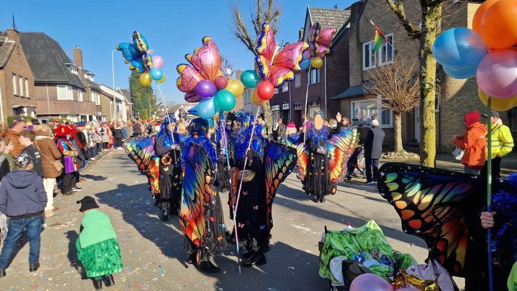 Loopgroep carnaval, Carnaval, Zo goed als nieuw, Kleding, Ophalen